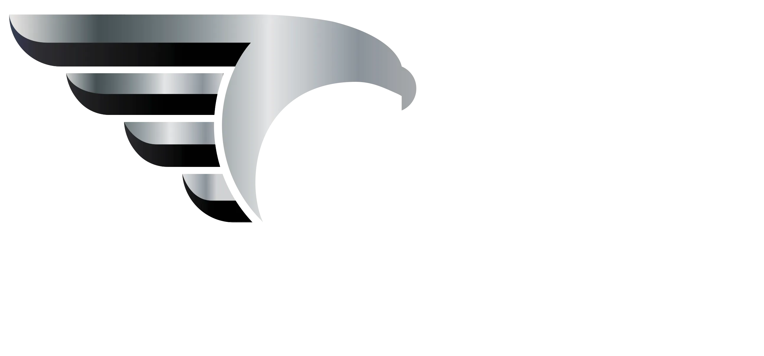 Adler Security and Defense Systems Industry and Trade Inc.